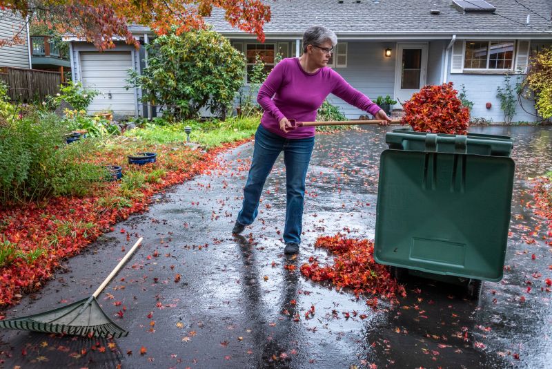 Cleaned-Up Lawn with Mulched Leaves