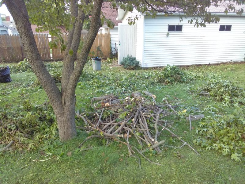 Spring Yard Cleanup