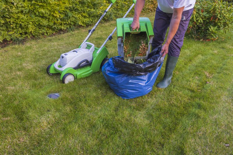 Local Yard Maintenance Services