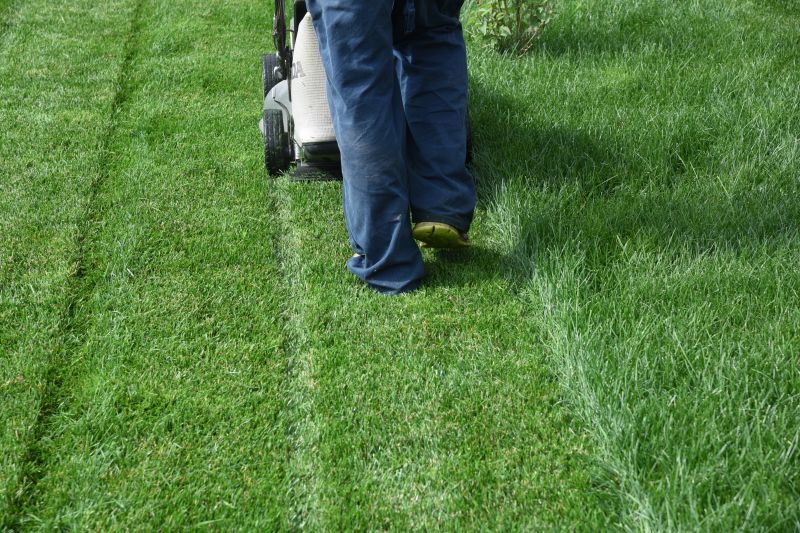 Full-Service Lawn Care Companies
