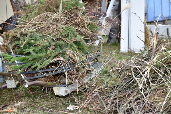 Yard Waste Removal Service in Avon
