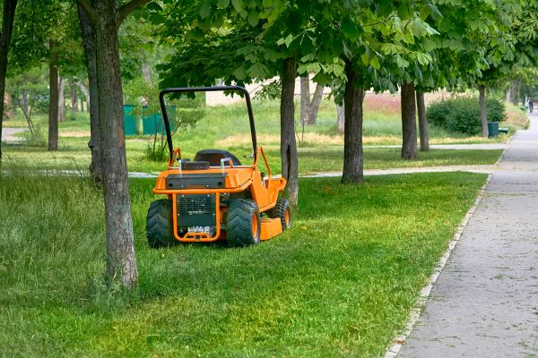 Landscaping Cleanup Service in Avon
