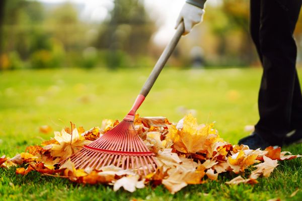 Cost of Ditch Leaf Removal in Avon