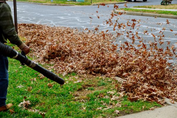 Cost of Garden Leaf Removal in Avon