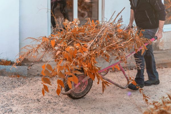 Cost of Lawn Debris Cleanup in Avon