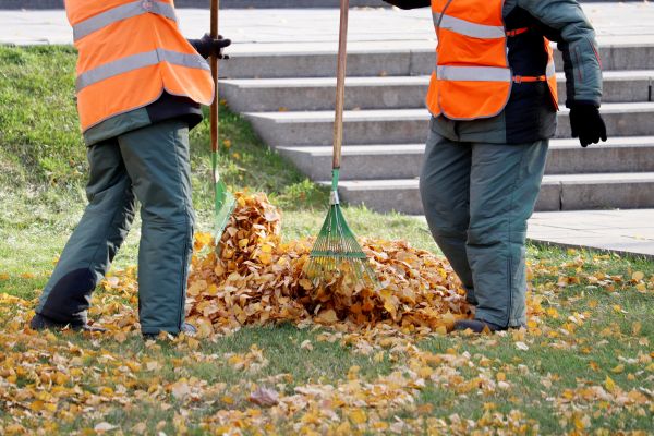 Cost of Leaf Hauling Service in Avon