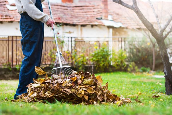 Spring Lawn Cleanup in Avon