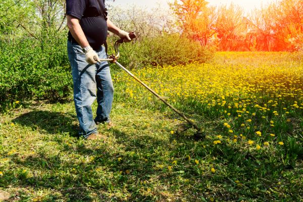 Cost of Yard Clearing Service in Avon