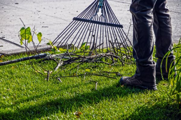 Yard Debris Cleanup in Avon