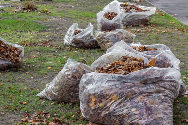Cost of Leaf Pile Disposal in Avon